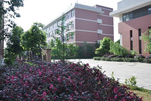 临邛中学